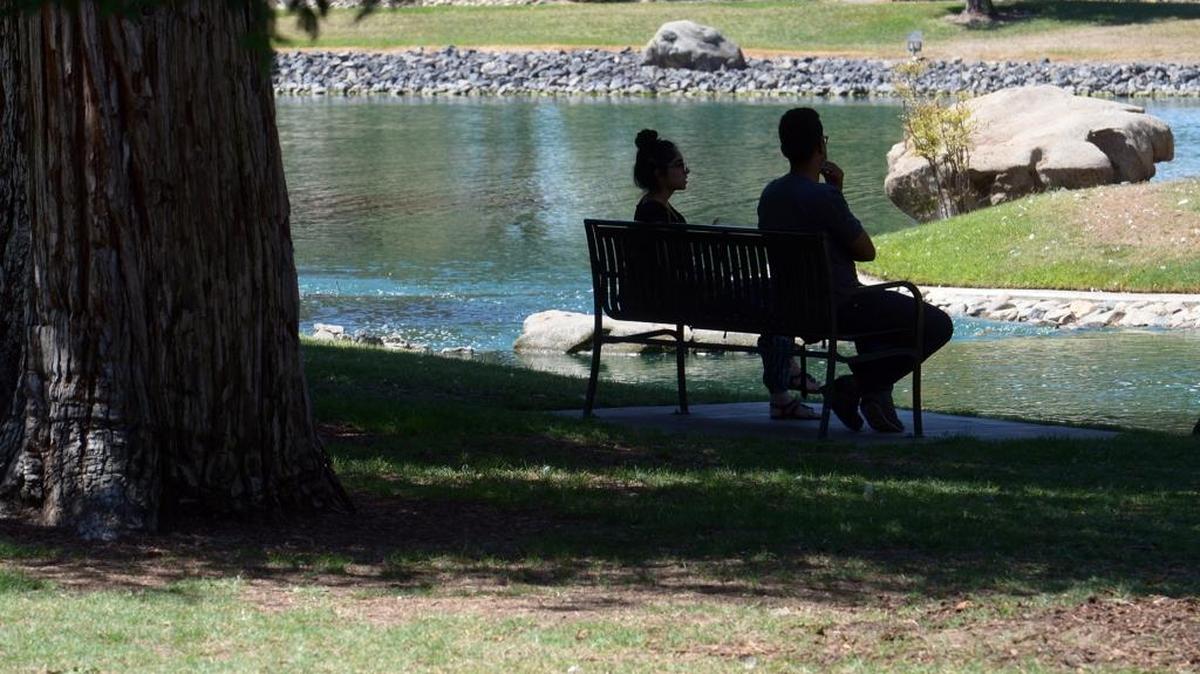 
Stanislaus State students enjoy the shade under the trees at Sequoia Lake on the Turlock campus Wednesday afternoon.
