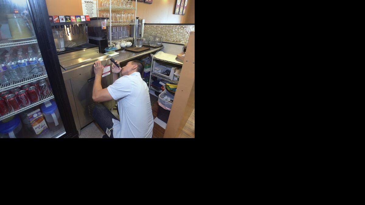 
Wallace Low, Stanislaus County health inspector, uses a flashlight to inspect soda spouts and other areas at Thailand Restaurant.
