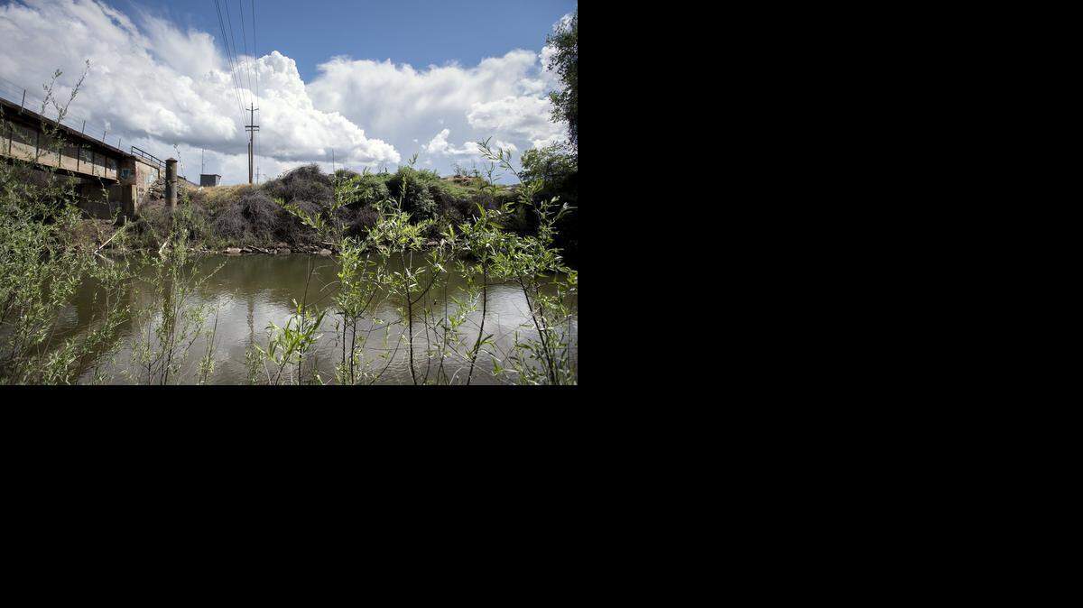 
It’s not known how many fish are in the Stanislaus River that the pulse flows are designed to flush oceanward.
