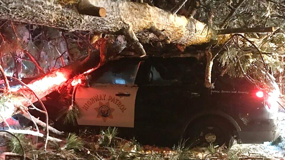A tree fell on a California Highway Patrol car but did not injure the officer on March 1, 2023, on Highway 4 near Murphys.