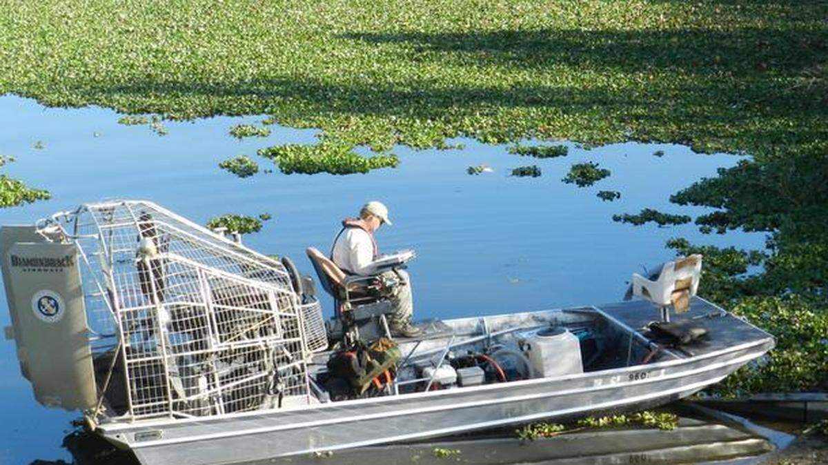 
Mark Nelson, an aquatics specialist for the Boating and Waterways Division of the State Parks and Recreation Department, takes some final notes before he and fellow specialist Ed Somera spray herbicide on water hyacinth on the Tuolumne River at the Fox Grove Recreation Area near Hughson on Friday.
