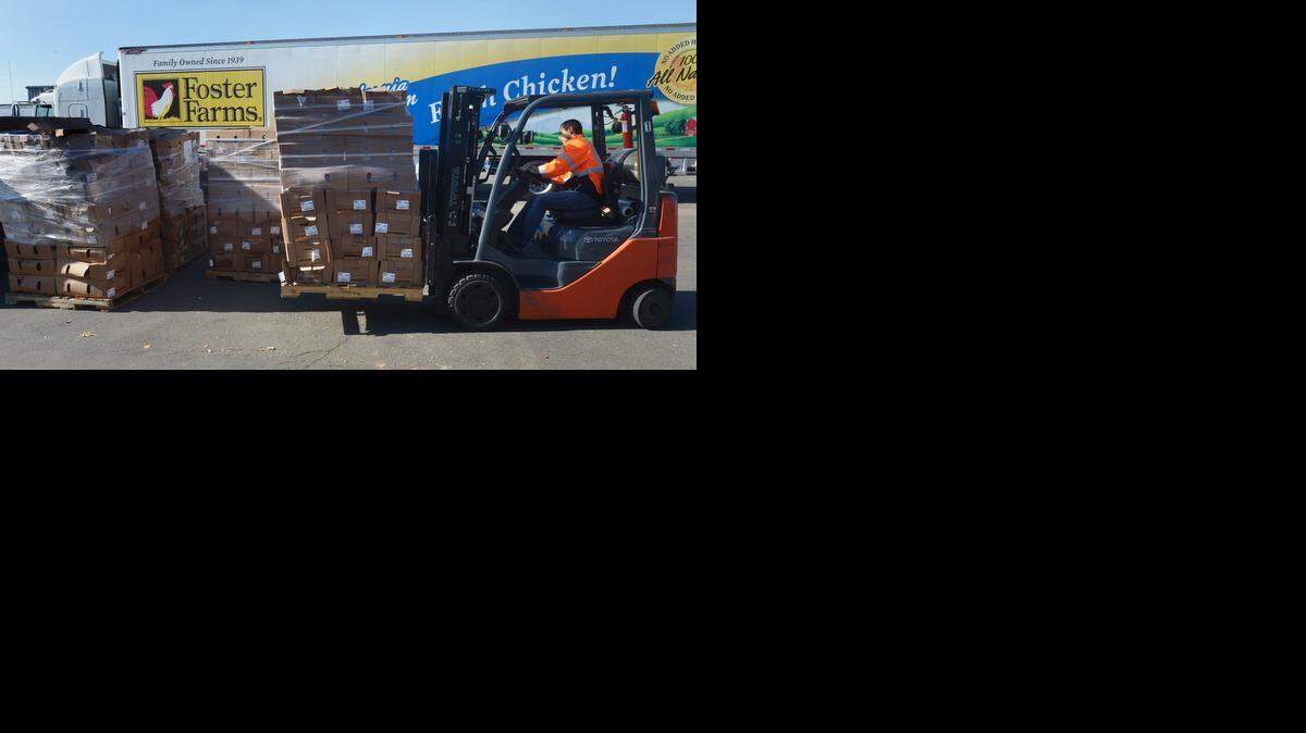 
Forklift driver Isaac Pena unloads Foster Farm turkeys. Second Harvest Food Bank in Manteca kicked off its Thanksgiving Turkey Drive will a delivery of 750 donated turkeys from Foster Farms.
