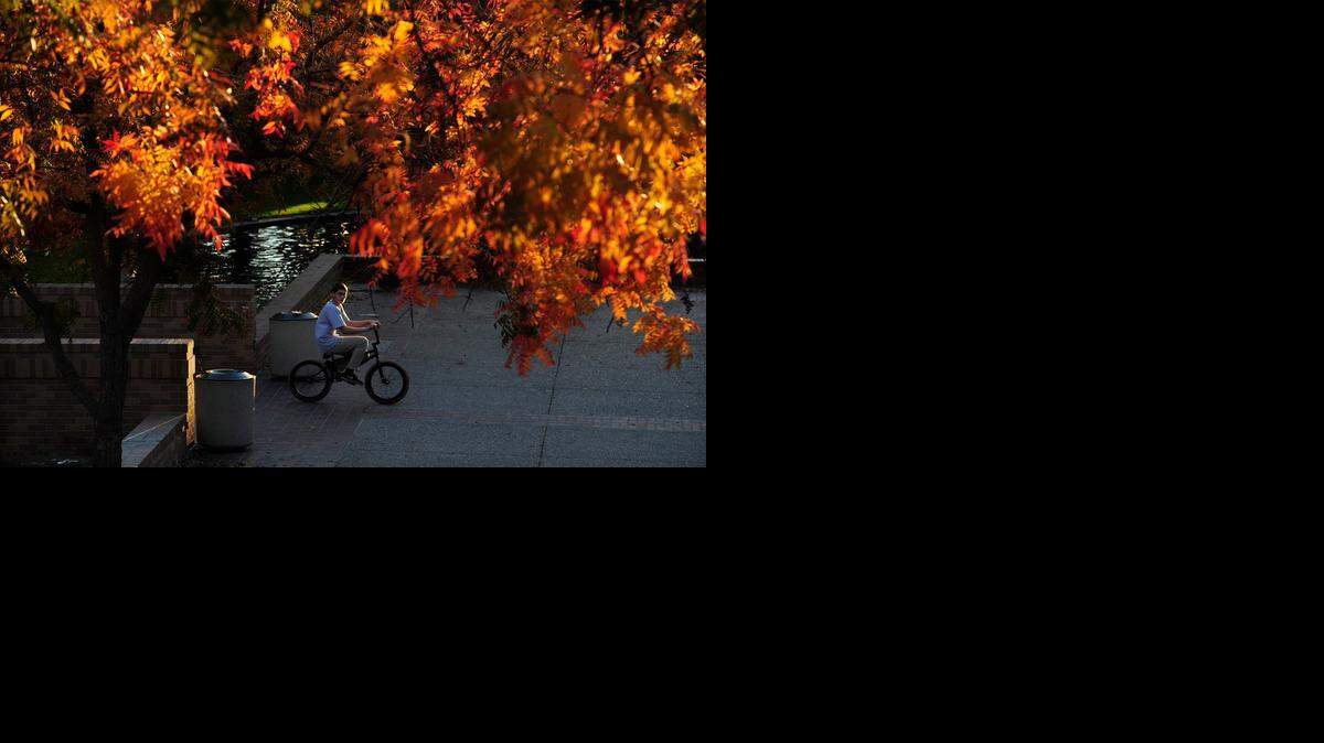 
A boy rides his bike under trees Monday afternoon (11-24-14) in the courtyard adjacent to the DoubleTree Hotel in downtown Modesto, CA.

