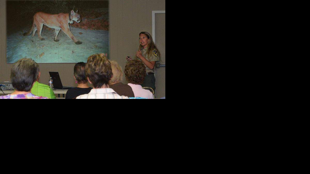 
Cristen Langner, biologist with the Department of Fish and Wildlife, gave a PowerPoint presentation on the mountain lion. The department talked about and answered questions about the mountain lion at the East Avenue Farm Watch meeting held at the Senior Citizens Center in Denair on Wednesday night.
