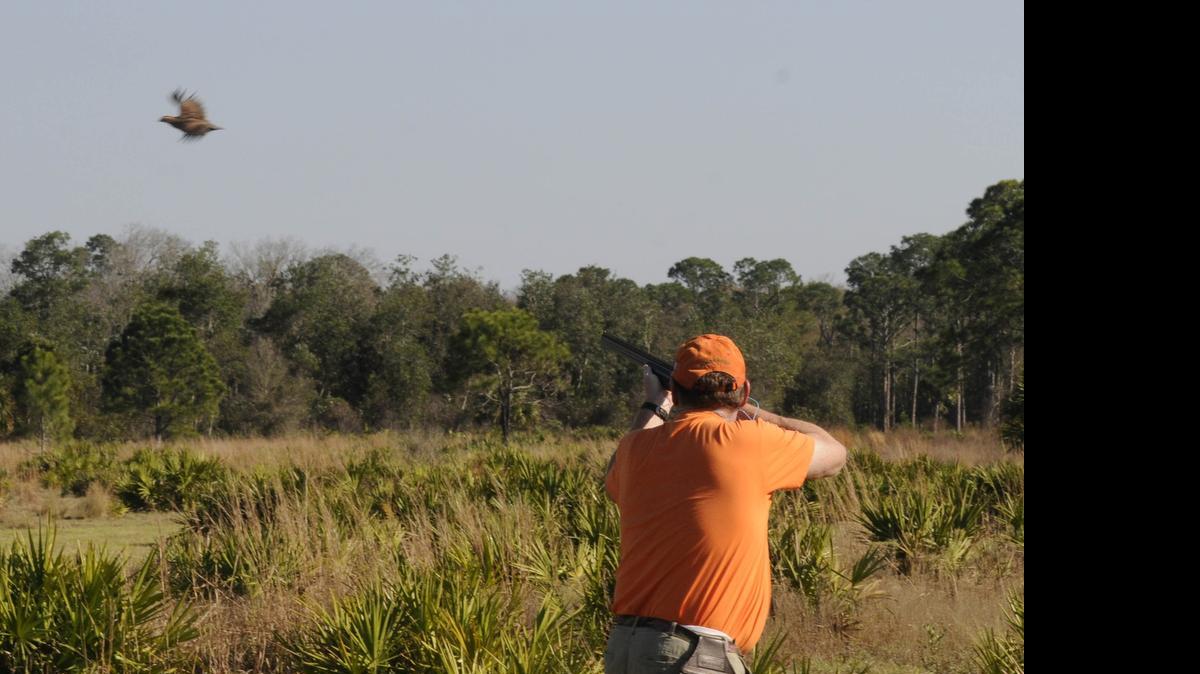 
Orange, the safety color frequently worn by hunters, has been adopted for National Orange Day, part of Gun Violence Awareness Month. People are urged to pledge to wear orange on Tuesday. 

