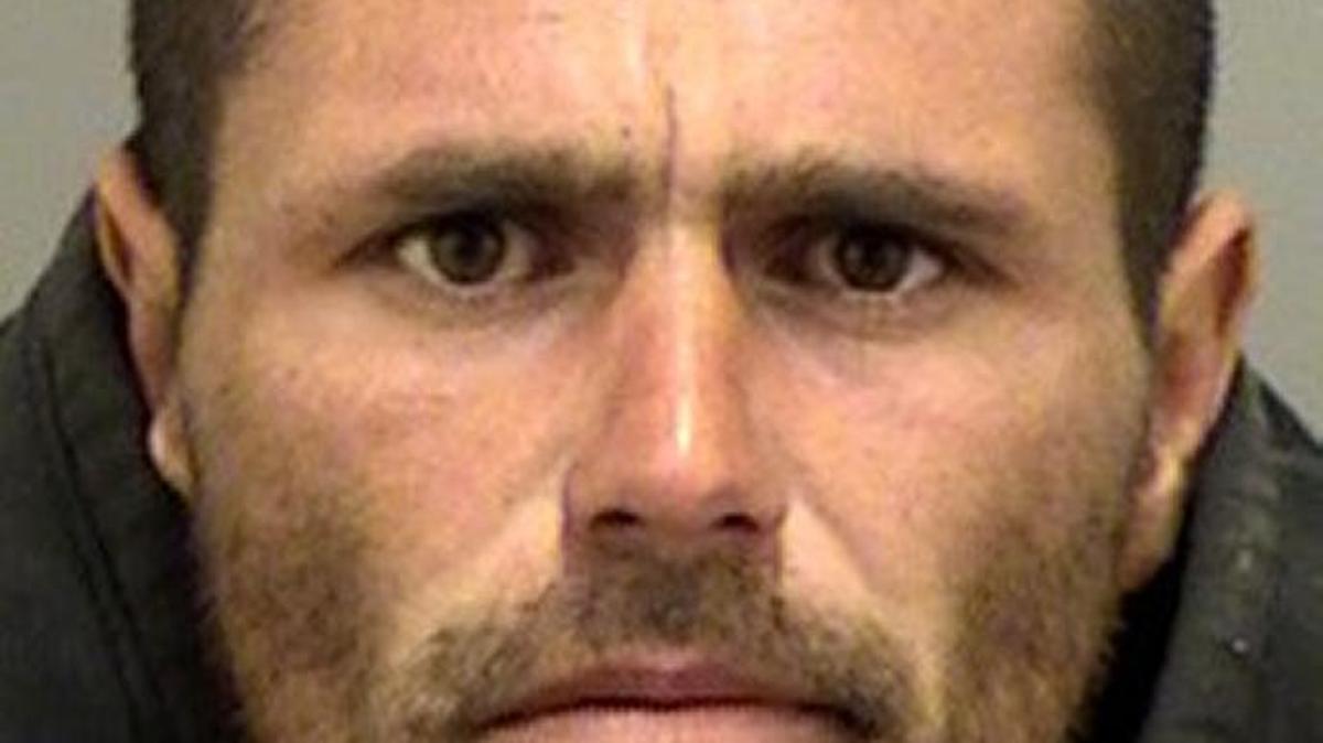 
Luis Elenes, car theft suspect
