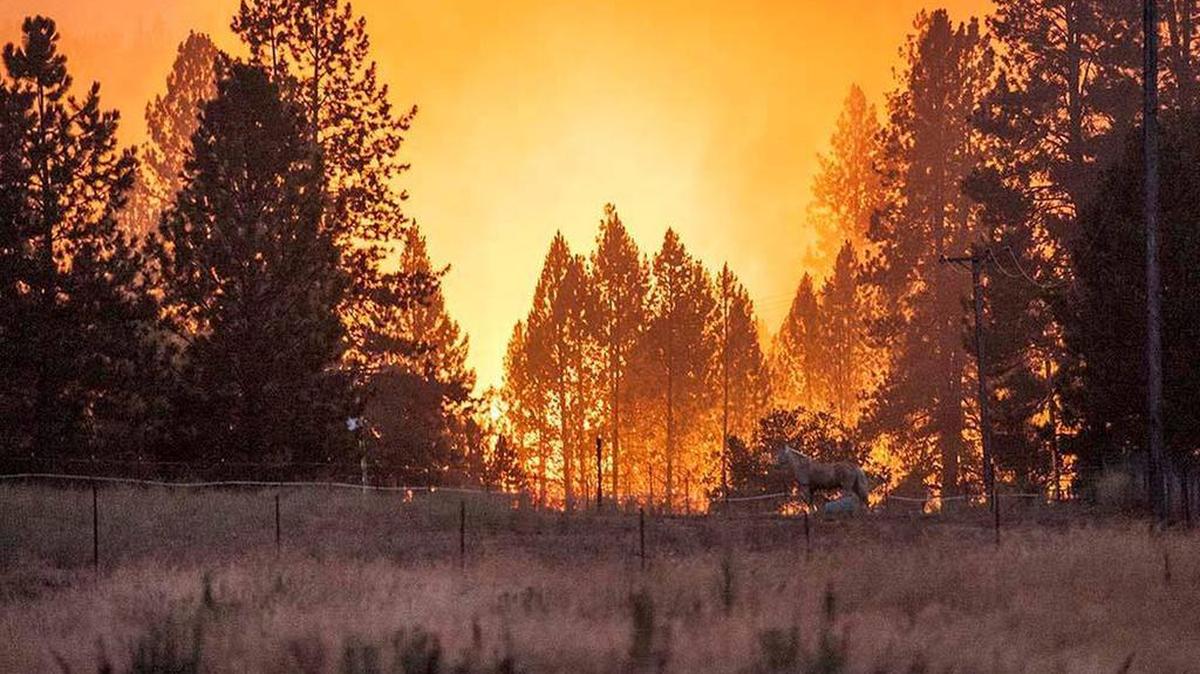 
The Big Creek fire is pictured looking across a meadow from Hells Hollow Road in Groveland on Wednesday evening.
