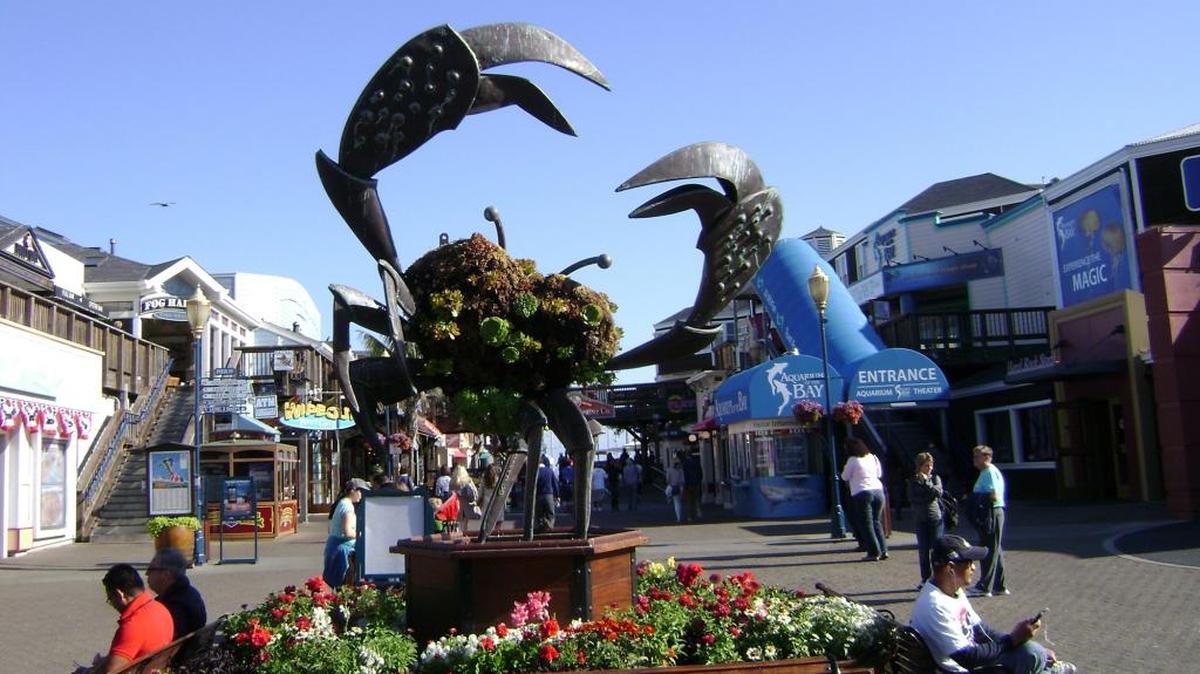 The FBI has arrested a Modesto man for allegedly planning a terror attack on San Francisco’s Pier 39.