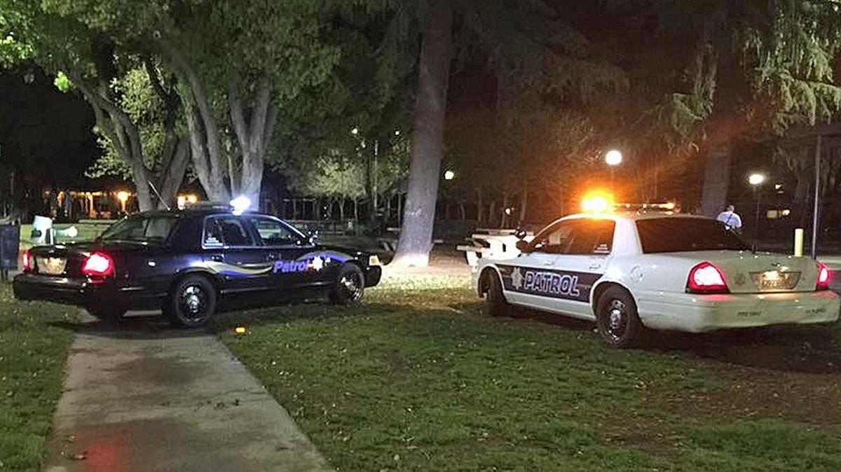 Two vehicles with Rank Investigation and Protection, Inc., at Graceada Park in Modesto, Calif., on Sunday, March 26, 2017. A man was eventually arrrested for setting fires inside garbage cans.