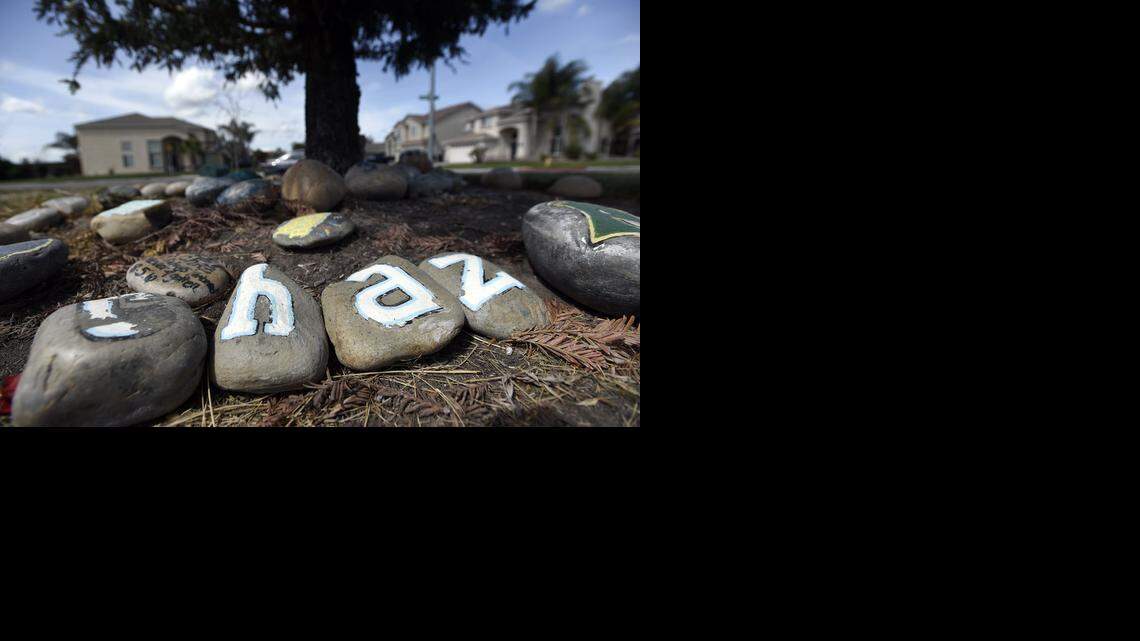 
A memorial tree for murder victim Chaz Bettencourt stands in a Riverbank park. 
