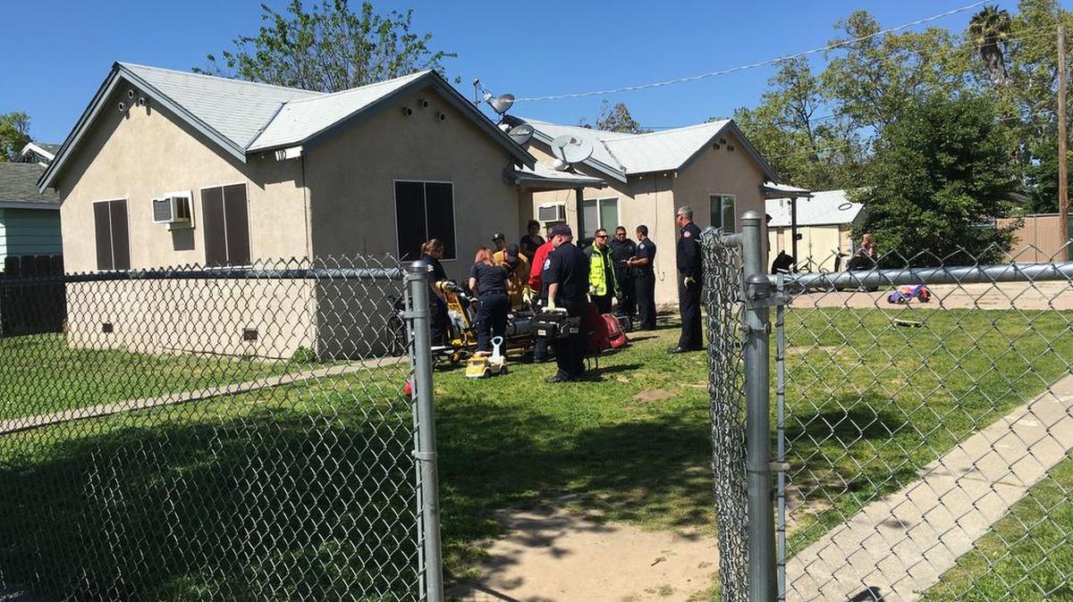 A woman in a wheelchair was shot in the leg and behind the ear with a pellet gun Wednesday afternoon in west Modesto, police said.