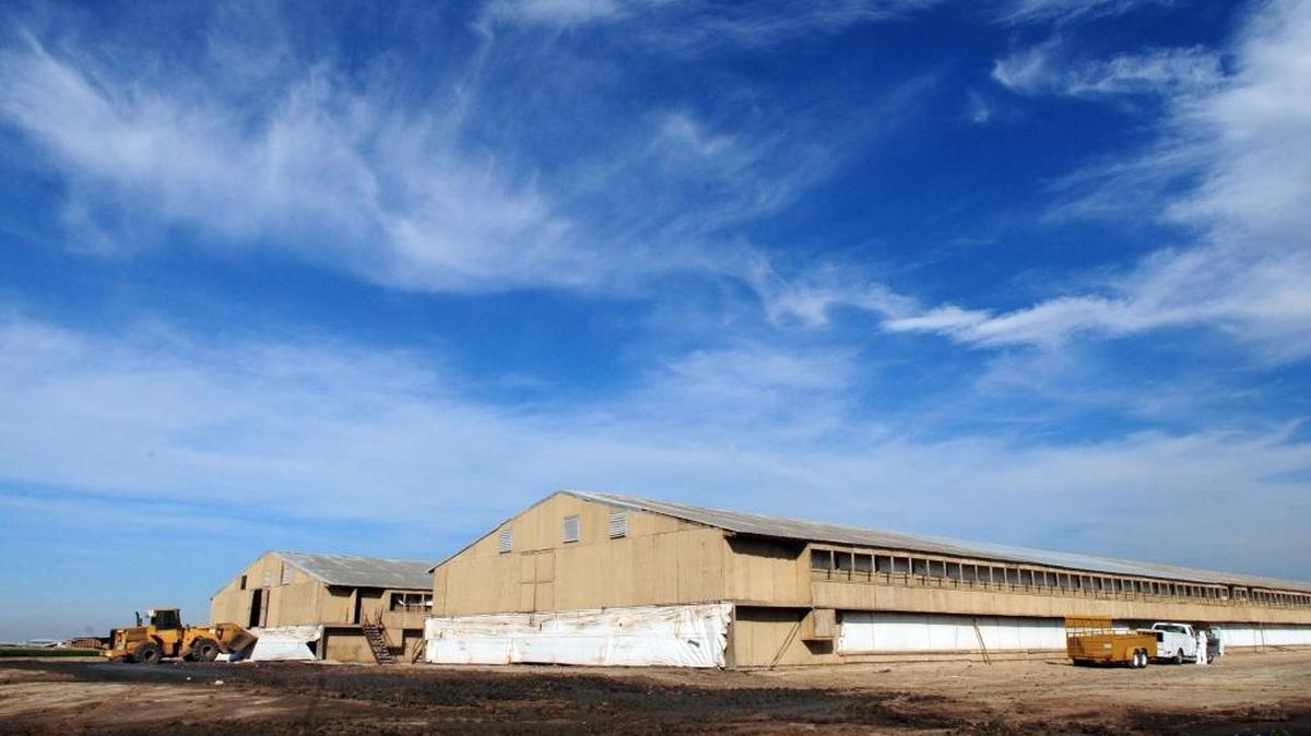 Several county and state agencies spent the day disposing of thousands of dead chickens at this egg-laying facility off South Carpenter Road in February 2012. An estimated tens of thousands of neglected chickens died while others were scheduled to be euthanized because of malnourishment.