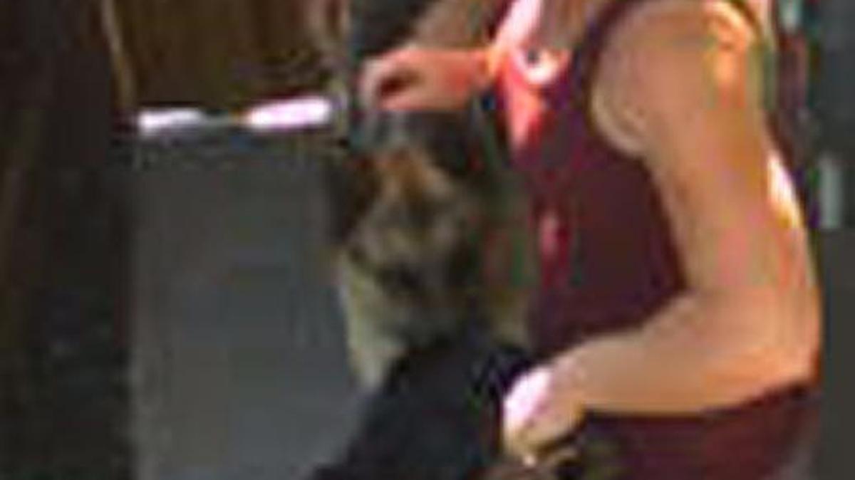 
Two women are seen in a surveillance video in a backyard on Maid Mariane Lane with two dogs, one a German shepherd reported stolen.
