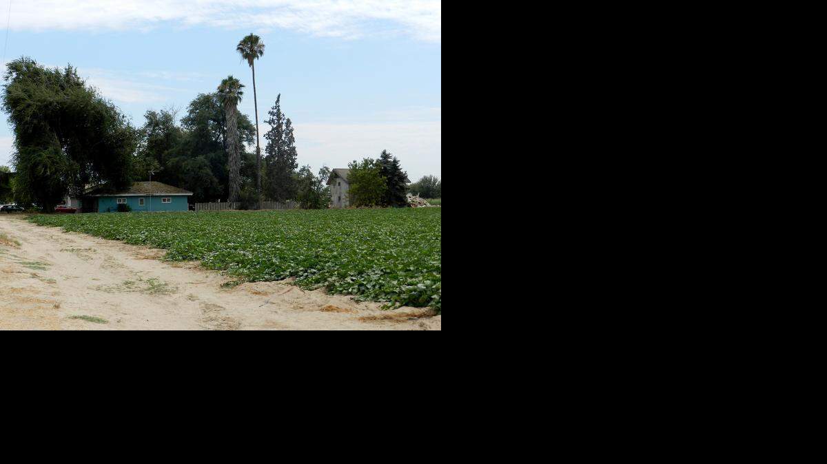 
A Turlock homeowner was arrested Friday on suspicion of murder in connection with the 2013 shooting of an alleged intruder outside his home on Dianne Drive in Turlock.
