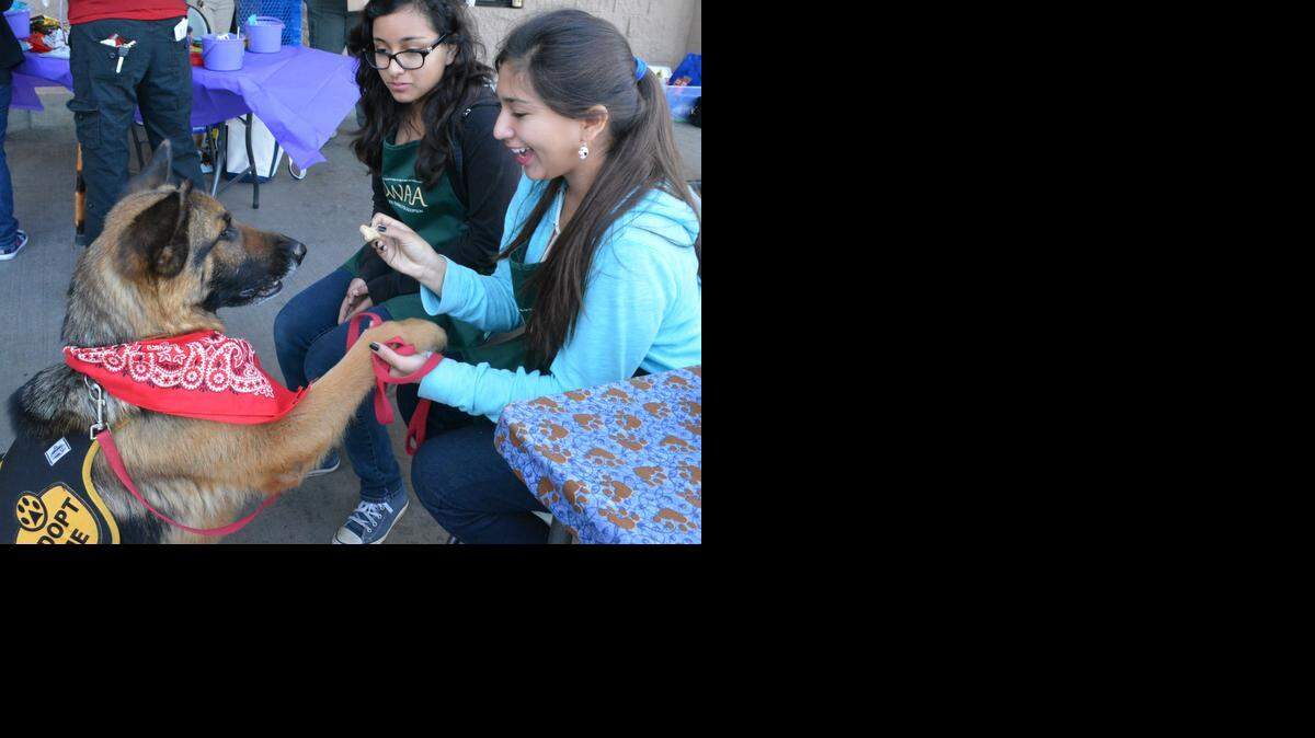 
Westside Animals for Adoption junior volunteers, from left, Marissa Tellas, 14, and Yolanda Gutierrez, 13, play with 4-year-old German shepherd Bobby, one of the strays hoping to find a home during Bark for Life on Saturday at the McHenry Avenue PetSmart.
