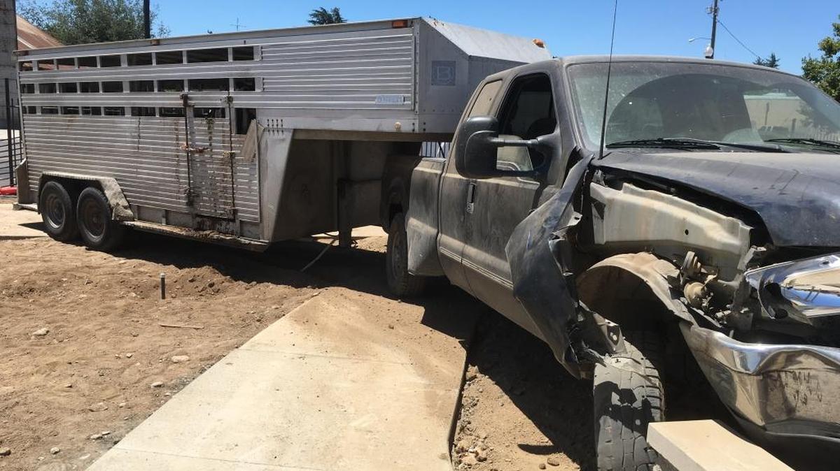 A driver and a cow were injured Wednesday afternoon (July 12, 2017) when a pickup hauling a trailer with cattle crashed into a fence at an Oakdale, California park still under construction.