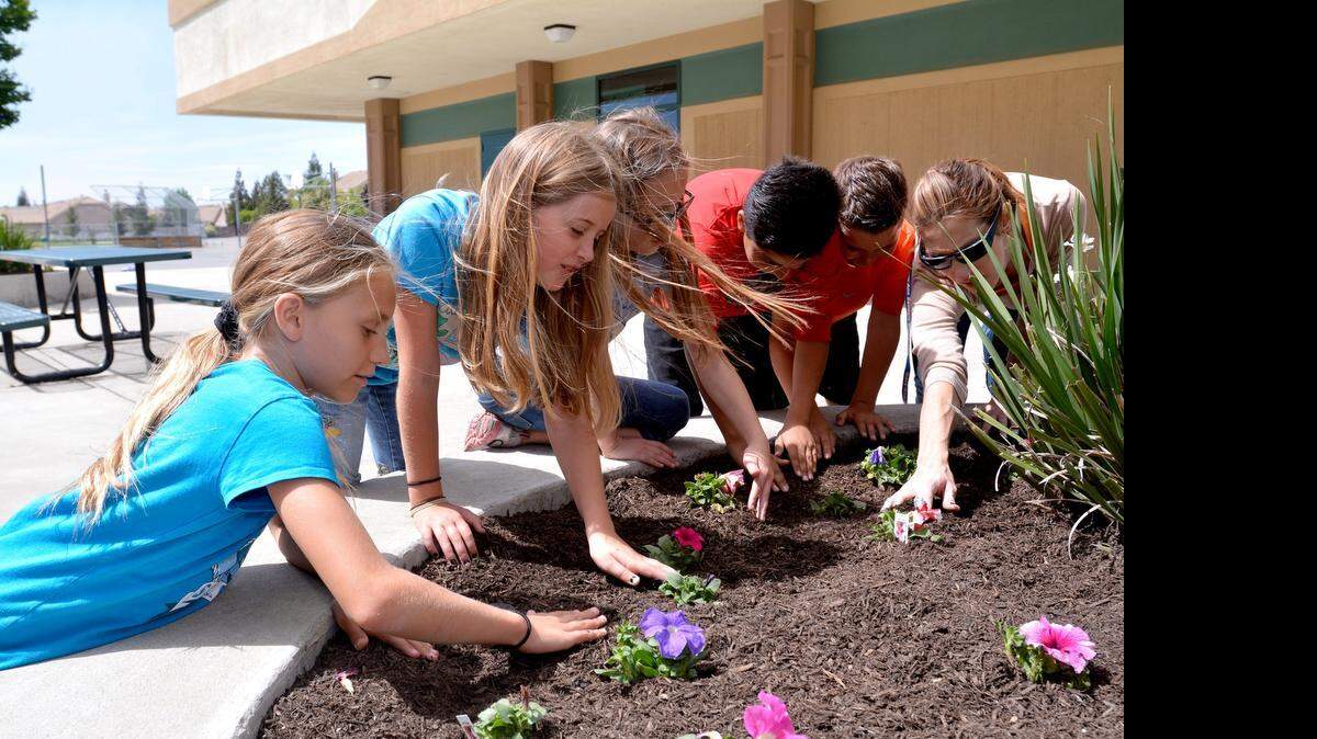 
From left, fourth-graders Reana Sharp, Lydia Yarnell, Kylie Blass, Diego Marquez and Jackson Wylie put finishing touches on a newly planted flower bed Friday with their teacher, Shelby Anderson, right, at Mary Ann Sanders Elementary School.

