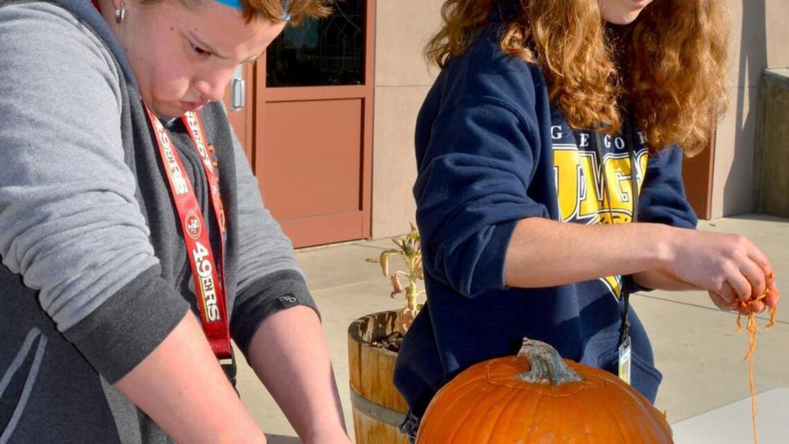 Gregori High students dig into horticulture training