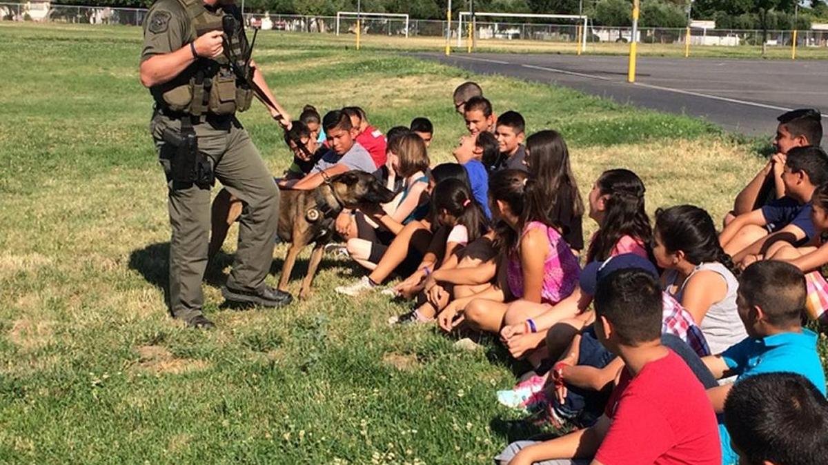 Waterford sixth-graders take part in a summer school Stanislaus County Sheriff’s Department career training session that included meeting Deputy Wall and his dog, Dexo, in Waterford, Calif., on June 27-28, 2016.