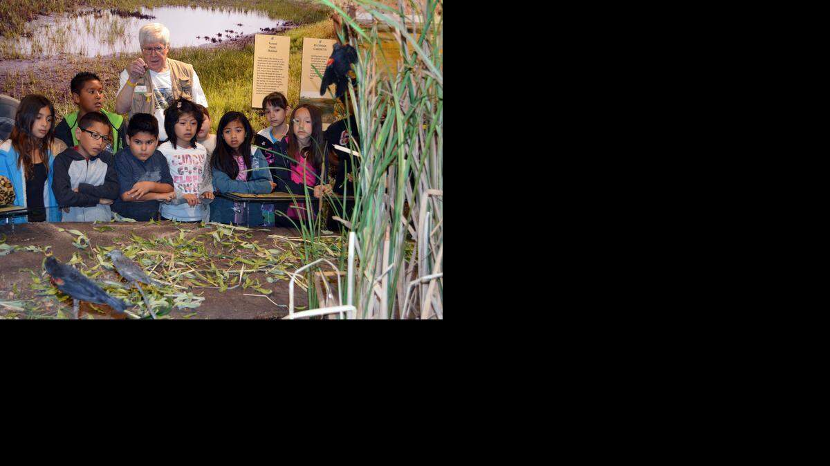 
Docent Mike Clarke shows Martone Elementary third-graders a wetlands habitat during the first school tour of the Great Valley Museum in its new quarters on Modesto Junior College West Campus in Modesto on Tuesday.
