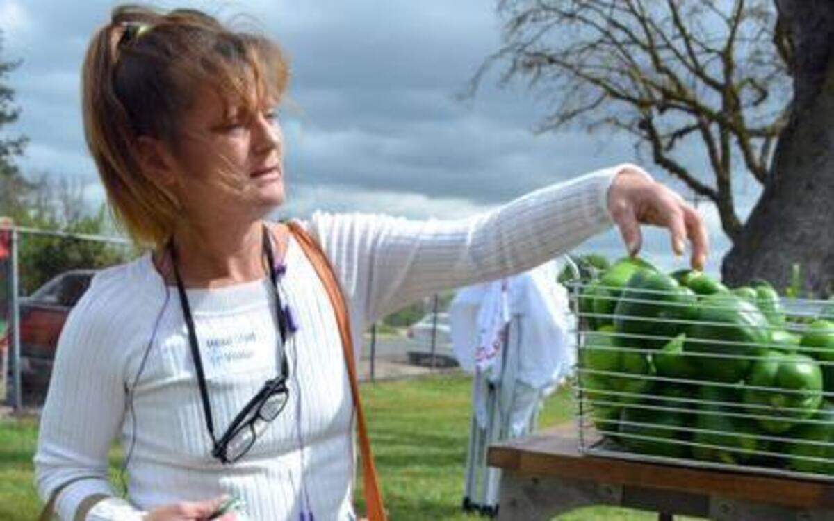 
Denise Johnson selects fresh, free produceTuesday at Empire Head Start for her family of seven.
