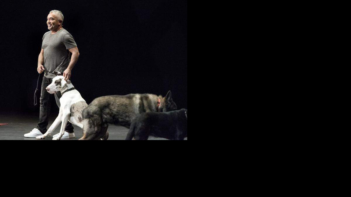 
TV personality and dog trainer Cesar Millan performs his live show at the Gallo Center for the Arts in Modesto on Friday.
