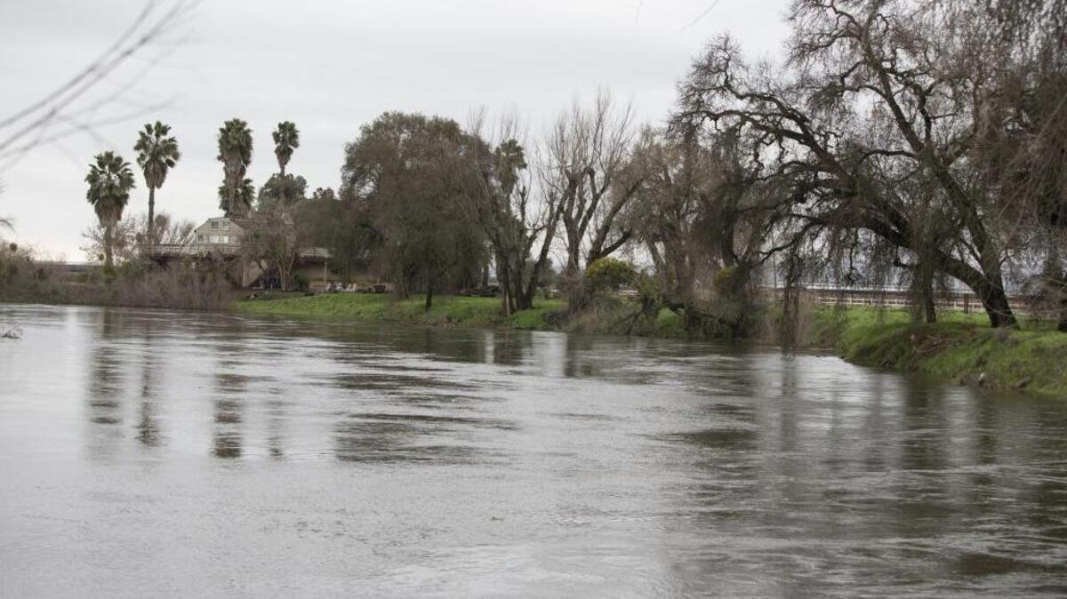 The Tuolumne River hugs its bank as it flows past Shiloh Road in western Stanislaus County Sunday morning. Rain blanketed the Central Valley Sunday, resulting in widespread puddles and flooding of some roads. Jan. 8, 2017.