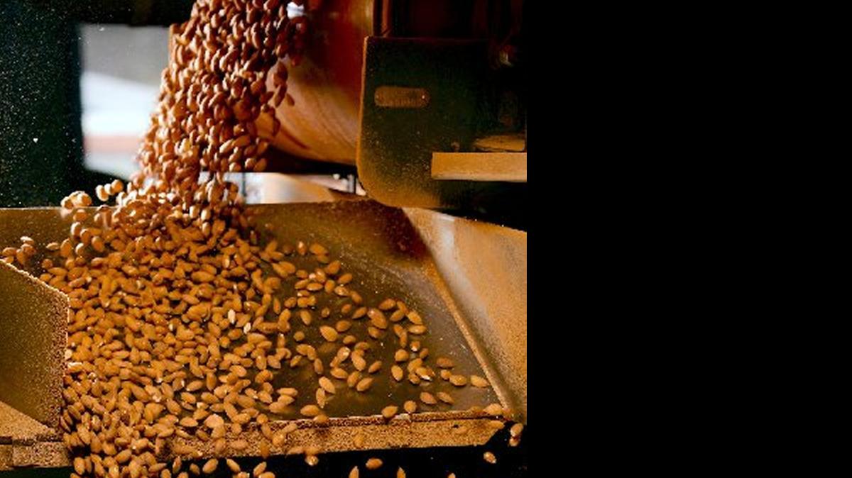 
The federal government on Tuesday projected an almond crop of 1.85 billion pounds in California this year. 
