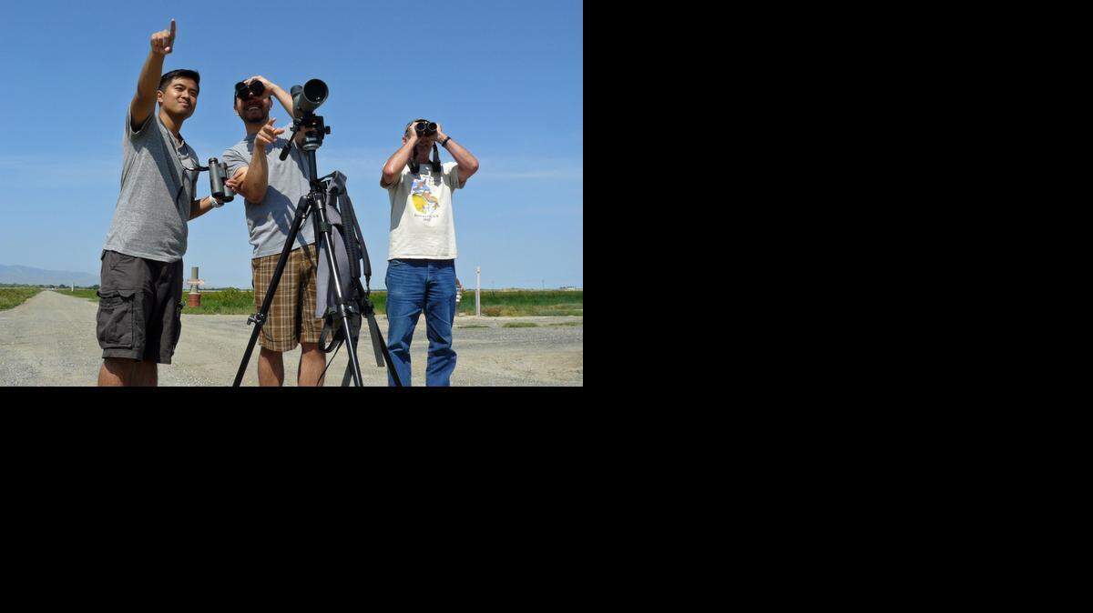 
Members of the Stanislaus Audubon Society participate in a survey of tricolored blackbirds in Merced County.
