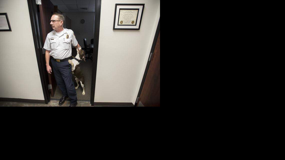 
Bryan Nicholes, with fire dog Chip on Tuesday, has been acting chief of the Ceres Fire Department since June. The City Council has now approved him for the permanent job.
