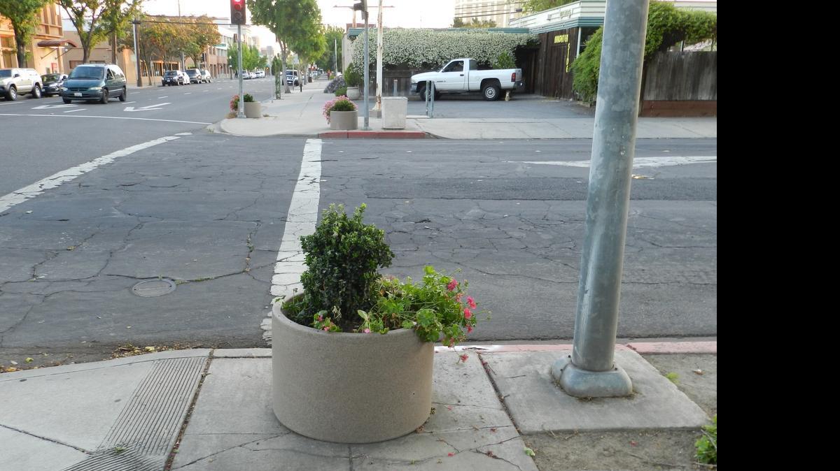 
A business owner questioned why the Modesto Garden Club was planting and watering flowers downtown Friday, a day in which no outdoor watering is allowed.
