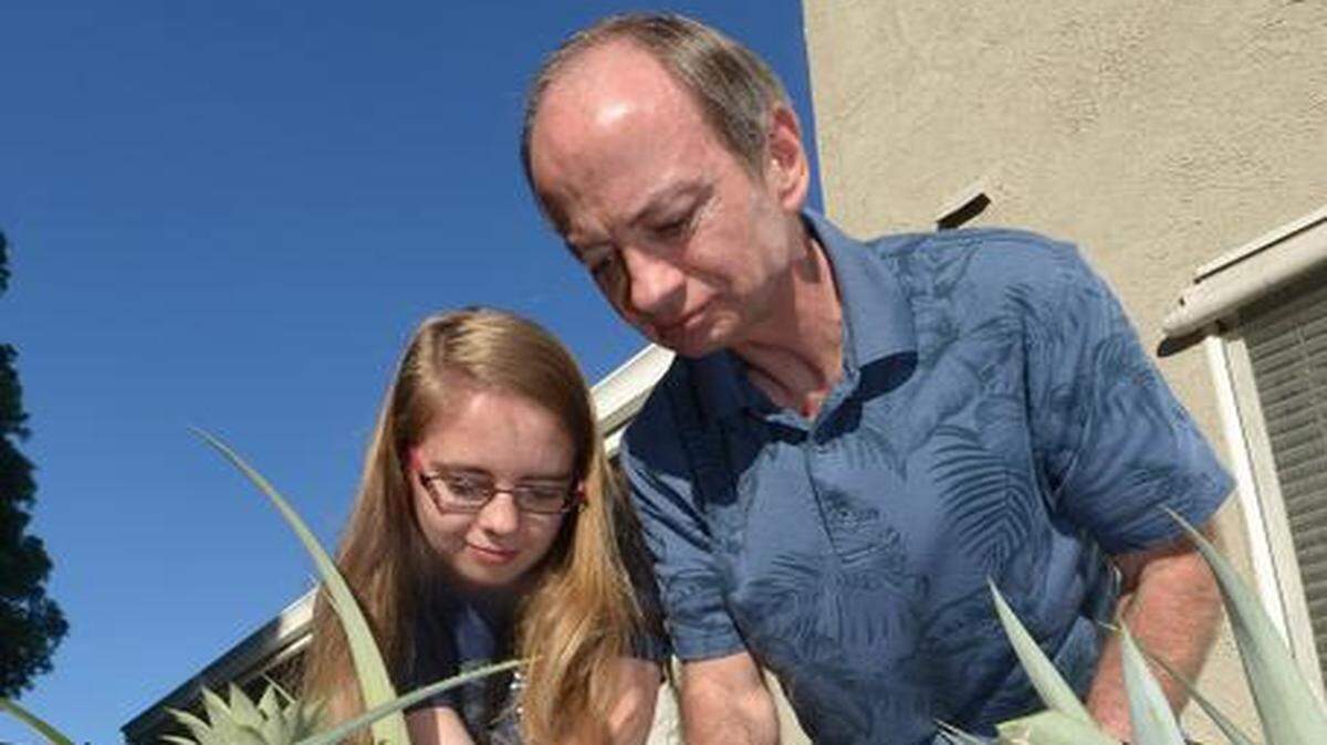 
Michelle Brady, 17, and her dad, Stephen, harvest one of their home-grown pineapples. They started a years-long project to grow pineapples as a daughter-father project when Michelle was in sixth grade. 
