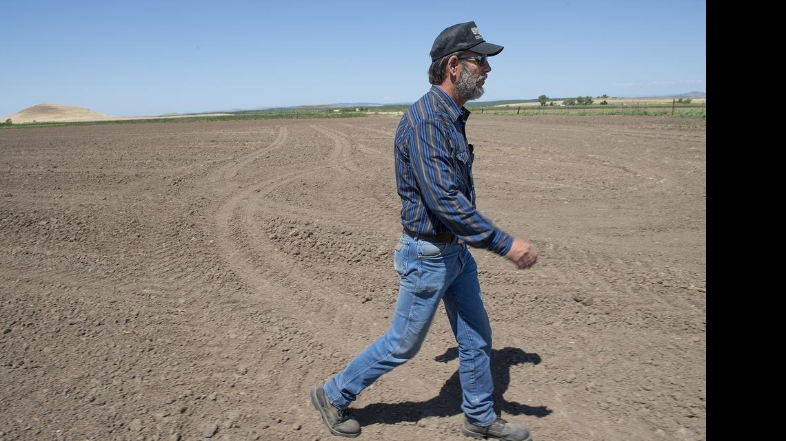 
Robert Frobose, pictured Wednesday on his property, is unsure if he will plant rice this season due to cutbacks in water from the Oakdale Irrigation District. 
