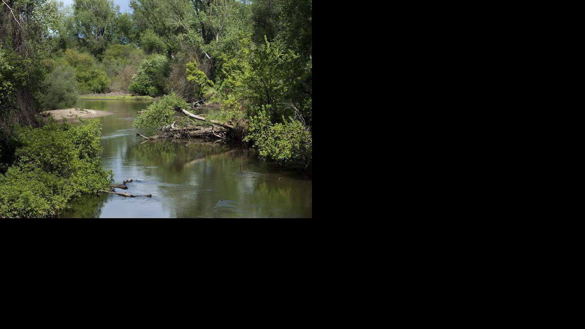 <137,2015/04/07,Knight/c Kathy - Sacramento1>The Stanislaus River passes through Ripon on Tuesday. <137>With a water deal not yet approved, U.S. officials plan to release more water from New Melones Dam to aid Stanislaus River fish.