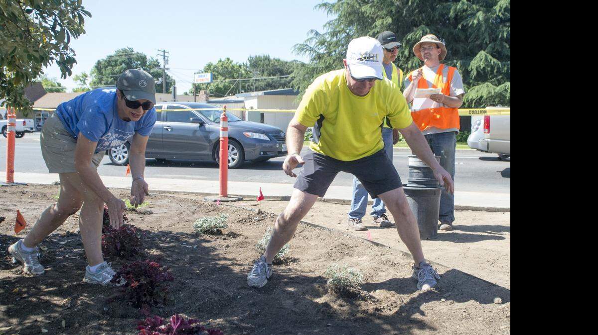 
Lynn and Ron Dickerson finish planting the new plants during the restoration of Ryan’s Fountain at 19th, H and Burney streets in downtown Modesto on Saturday.
