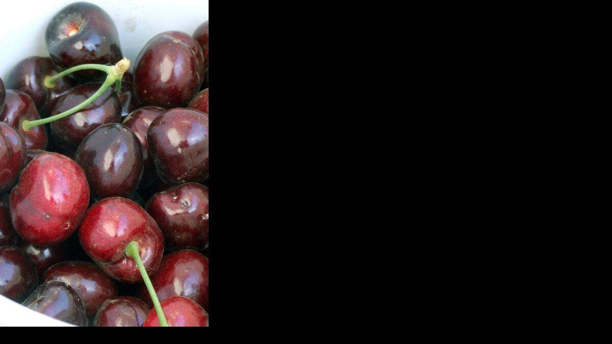 
A bucket holds cherries picked by a visitor to Ott Farms in June 2012. The farm, about 10 miles southwest of Modesto, also has pick-your-own blueberries.

