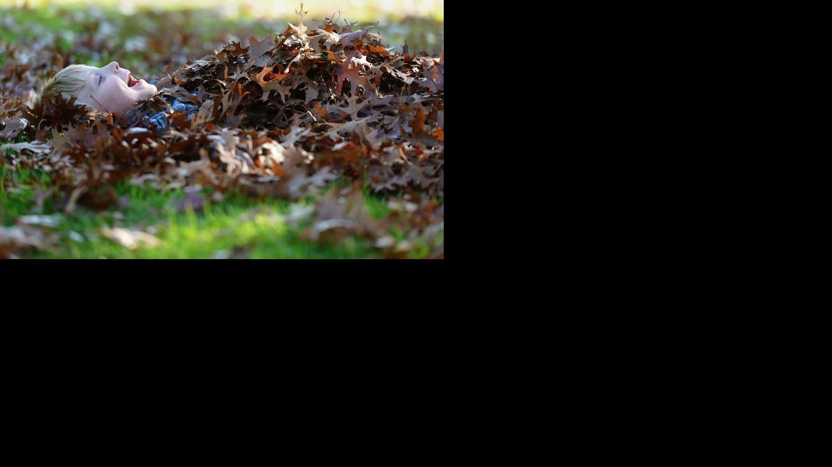 
Jack Allenbaugh, 5, enjoys being covered with leaves at Whitmore Park in Modesto on Sunday afternoon. Jack played in the leaves with 3-year-old sister Kate and mother Mandy Allenbaugh.
