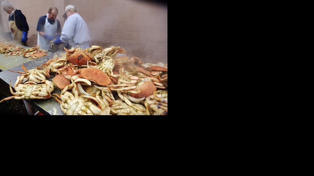 
Volunteers, Jan. 15, 2015 including Steve Youch and Dennis Gault help clean just cooked Dungeness crab the day before their SOS Club crab feed and dance.
