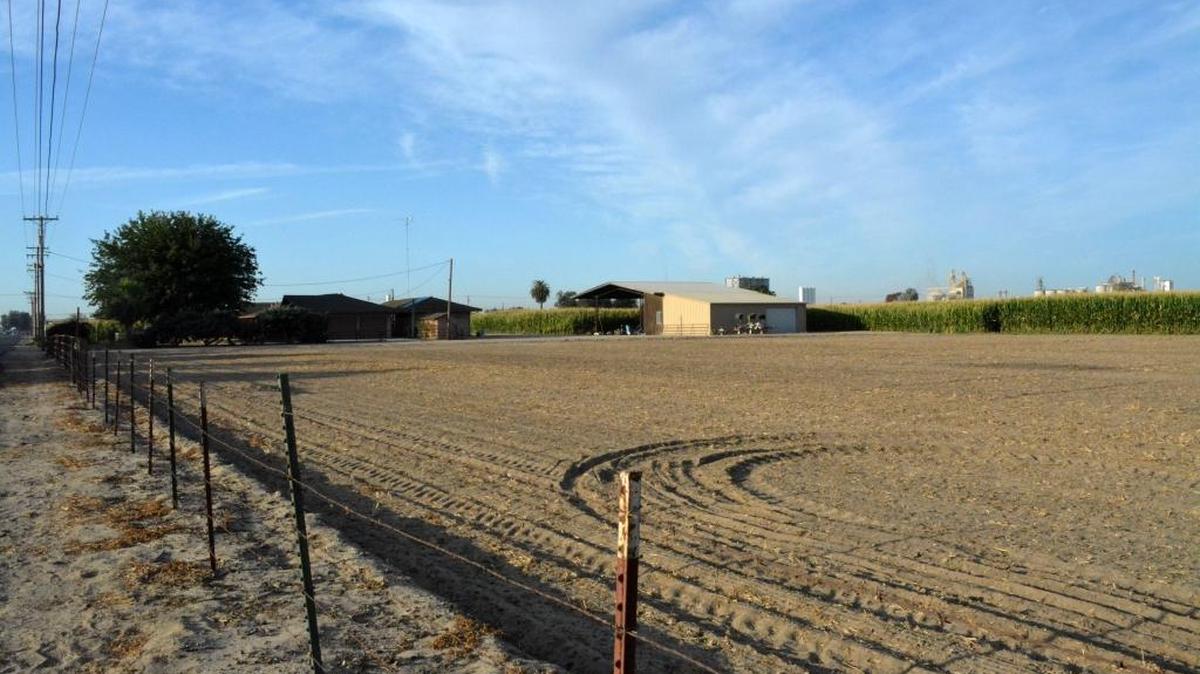 
A pork processing plant is proposed for the dirt area at the front of this 10-acre parcel on the west side of Dianne Drive looking toward West Main Street in Turlock.
