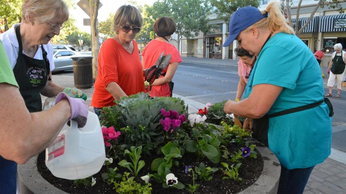 
Turlock Garden Club volunteers, including, from left, Susan Smith, Pam Nixon and Stephanie Telles, fill 40 large planters along Main Street with winter-hardy ornamentals like cabbage, snapdragons and cyclamen on Sept. 22, 2015. After a three-year hiatus, the club is back tending the blooms under a collaboration with the Turlock Downtown Property Owners Association.
