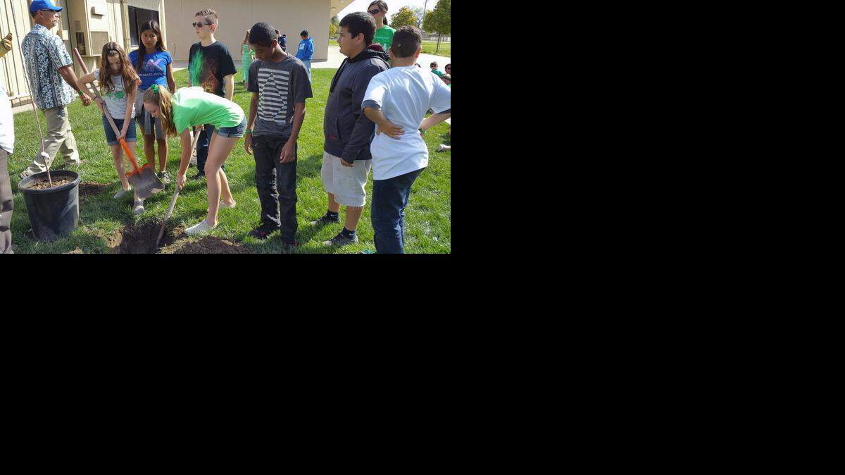
In collaboration with the city of Turlock, 120 Julien Elementary sixth-graders participated in a tree planting activity Wednesday morning in celebration of Go Green Week. The city of Turlock sent four representatives to teach the students the benefits of trees and how to care for trees. Students helped dig the holes, bury the roots and install poles to stabilize the trees.
