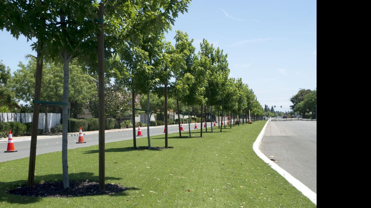 
Artificial turf is seen in the Christofferson Parkway median in Turlock on Wednesday. 

