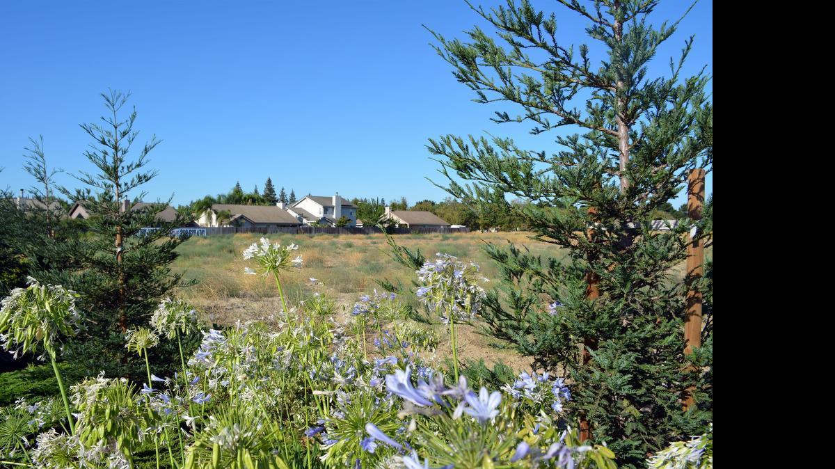 
Over neighbor’s objections, empty acreage across from California State University, Stanislaus, moved a step closer to becoming a four-story student housing complex with Thursday’s Turlock Planning Commission approval.

