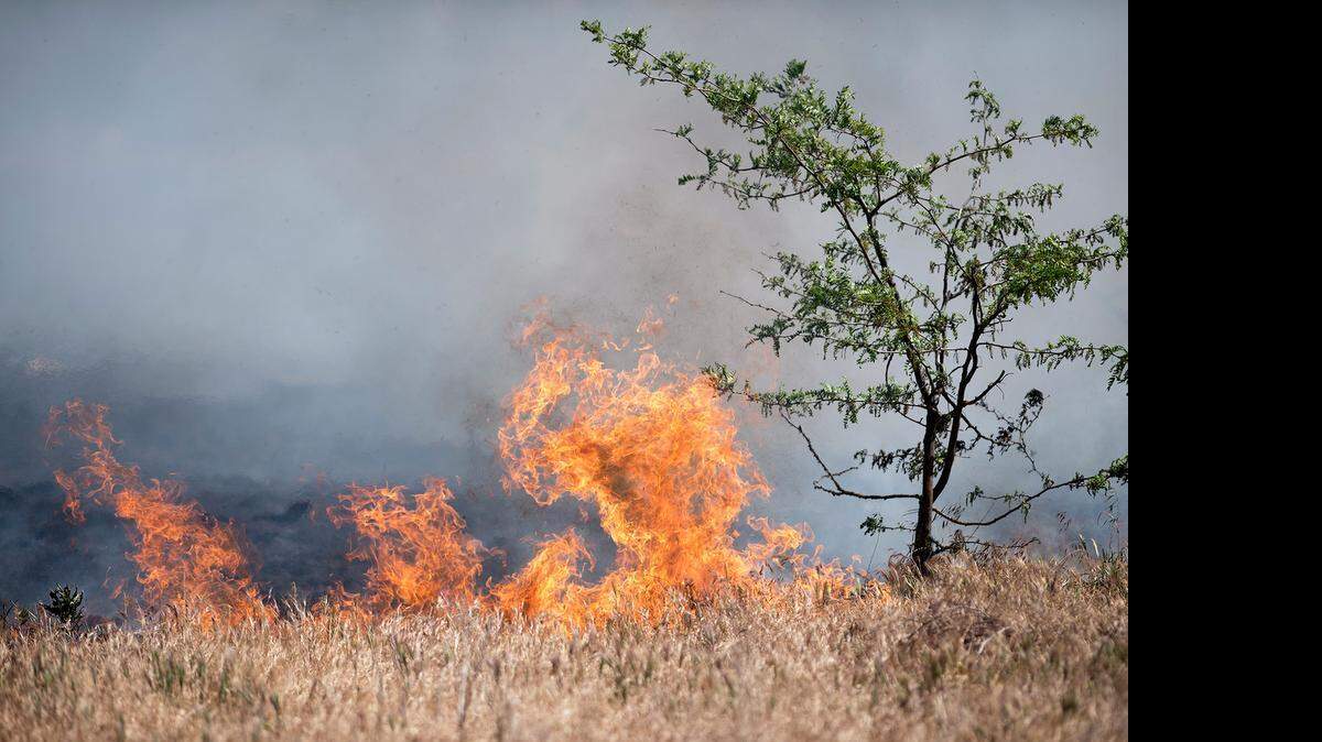 
About 25 acres of vegetation burned across from Kaiser Modesto Medical Center on Dale Road on Friday.
