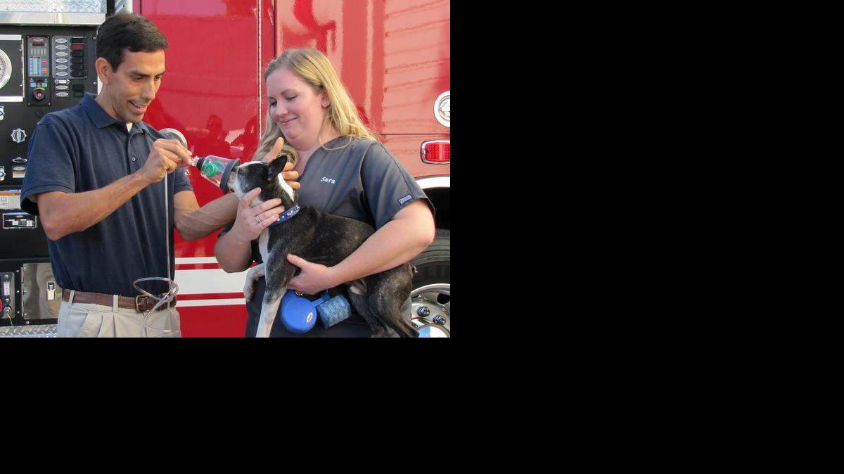 
Sara Leimgruber, hospital director of the Monte Vista Small Animal Hospital in Turlock, and Bryan Medrano, a service tech with Invisible Fence, demonstrate how to use the animal oxygen masks donated to Modesto Fire Department and Stanislaus Consolidated Fire Protection District.
