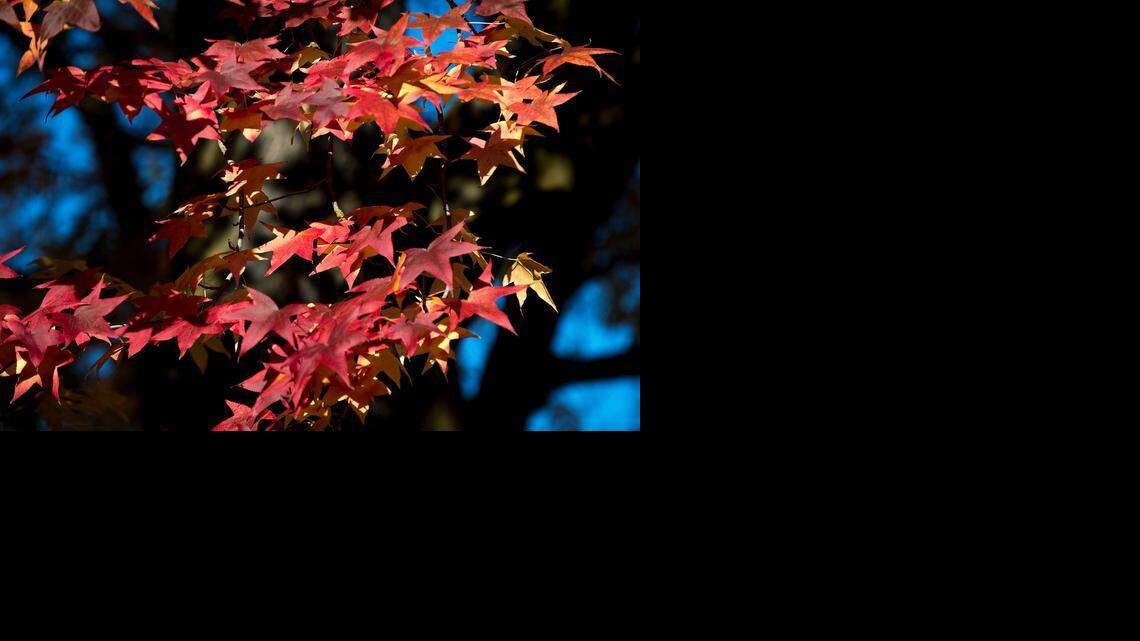 Time to relax: Season offers a chance to rest and ‘recharge your battery’