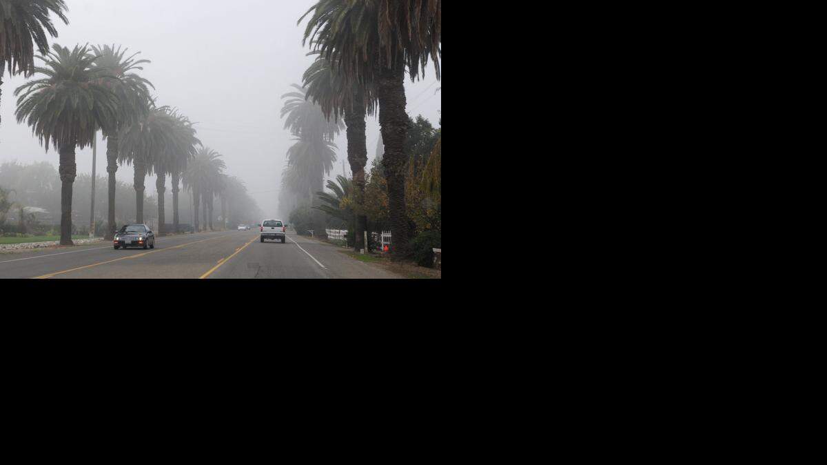 
Patterson residents spent the most time driving to work. Their average commute was more than 40 minutes long. In this 2012 shot, morning commuters navigate through the fog as they drive down historic Las Palmas Avenue outside of Patterson. 
