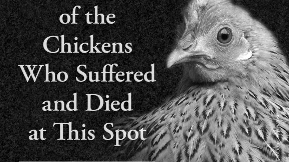 This is the conceptual design for the memorial People for the Ethical Treatment of Animals hopes to have placed at the scene of an Aug. 5 big-rig crash on Highway 99 near Lander Avenue in Turlock that killed an undetermined number of chickens.