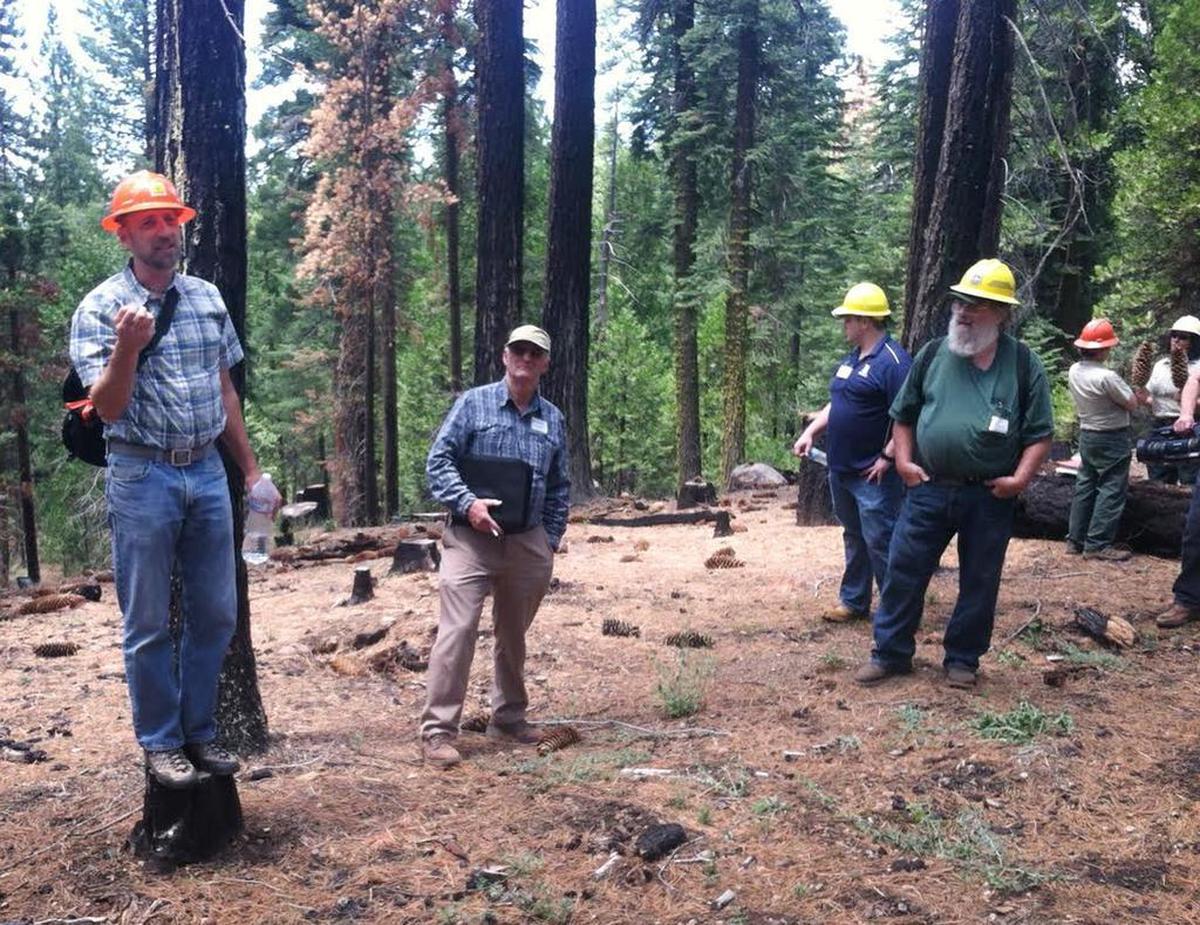 Eric Knapp, a research scientist for the U.S. Forest Service, left, talks in 2015 about a logging method he says could restore natural conditions in the Sierra Nevada and reduce the intensity of wildfires. He was speaking at a research plot in the Stanislaus National Forest near Pinecrest.
