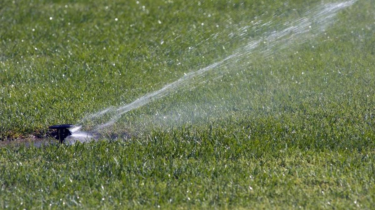 The city of Modesto has updated its watering schedule, adding one more day per week when residents can use water outside of their homes.